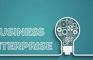 Enterprise Sector